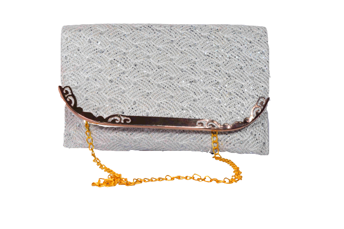 silver colour purse